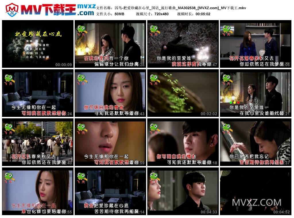 囚鸟-把爱珍藏在心里_国语_流行歌曲_MA302538